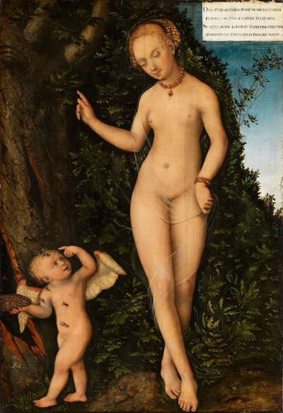 Venus und Amor, der Honigdieb von Lucas Cranach the Elder